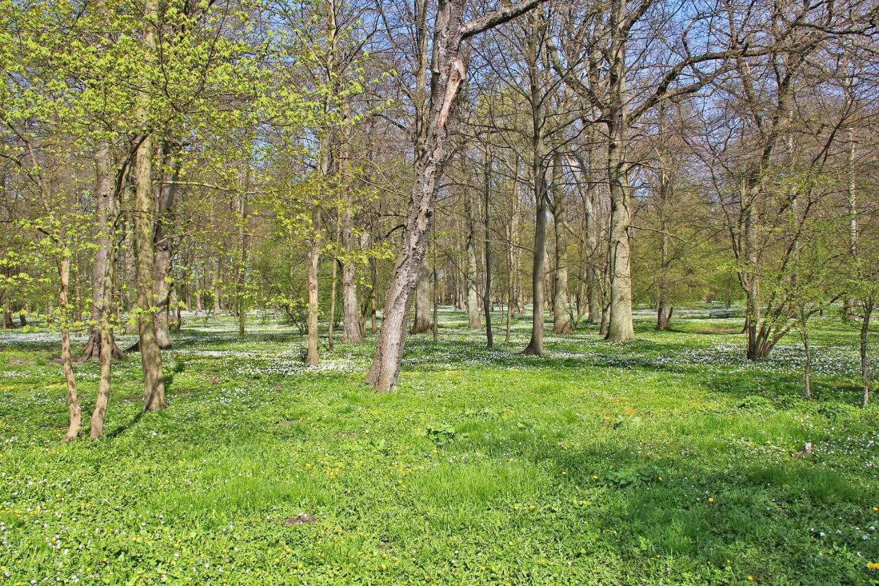 Villa Ferienhaus Breege RUeG 1952 Juliusruh Exterior foto